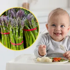 Uśmiechnięty niemowlak w krzesełku z widelcem, obok pęczek zielonych szparagów dla niemowlaka na talerzu.