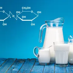 Wzór chemiczny laktozy obok dzbanków z mlekiem. Czy laktoza jest potrzebna?
