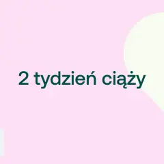 2 tydzień ciąży. Delikatny różowy tle z jasną sercem. Ikony D+ i kobiety w ciąży.