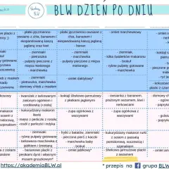Jadłospis 10 miesięcznego dziecka: zapiekany ryż, placki szpinakowe, pulpety rybne, omlety, zupy warzywne i inne zdrowe propozycje.