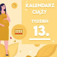 Ilustracja kobiety w ciąży z tekstem "Kalendarz ciąży - Tydzień 13." i ikoną kalendarza.
