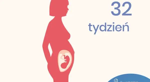32 tydzień ciąży. Ilustracja pokazuje sylwetkę kobiety w ciąży z widocznym płodem w łonie.
