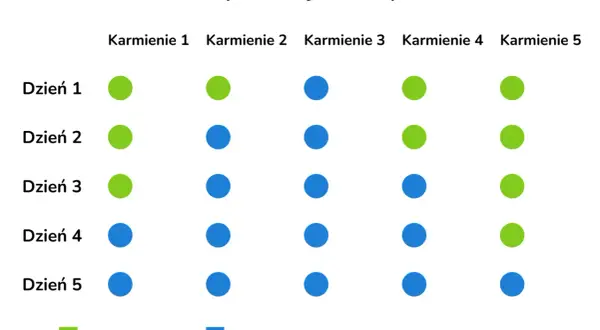 Plan stopniowej zmiany mleka z 1 na 2 Nan. Zielone kropki oznaczają stare mleko, niebieskie nowe. Stopniowo wprowadzaj nowe mleko.