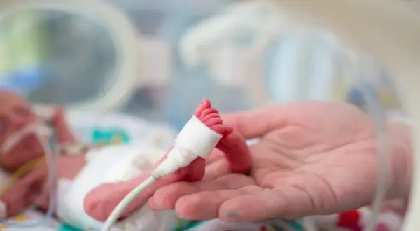 Mała stópka wcześniaka w dłoni rodzica. Dziecko urodzone w 28. tygodniu ciąży walczy o życie w inkubatorze.
