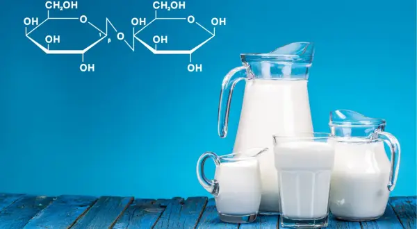 Wzór chemiczny laktozy obok dzbanków z mlekiem. Czy laktoza jest potrzebna?