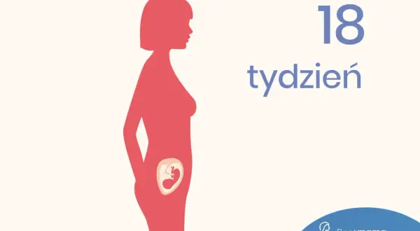Ilustracja pokazuje sylwetkę kobiety w ciąży, z widocznym dzieckiem w brzuchu. Obok widnieje napis "18 tydzień".