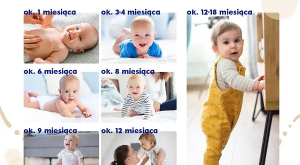 Kalejdoskop rozwoju dziecka w poszczególnych miesiącach: od niemowlaka leżącego na plecach, przez raczkującego malucha, po pierwsze kroki.