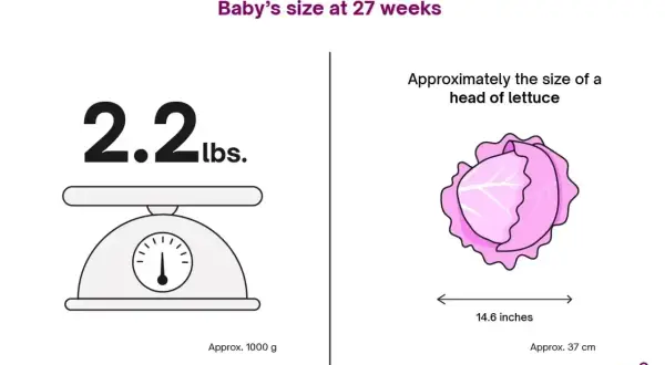 Waga dziecka w 27 tygodniu ciąży to ok. 1 kg, wielkości główki sałaty.