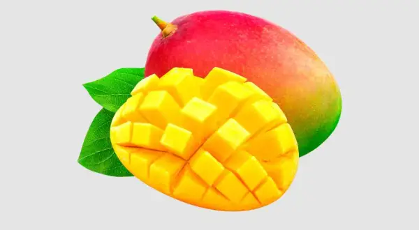 Słodki, soczysty mango dla niemowlaka. Pokrojony w kostkę, gotowy do jedzenia.