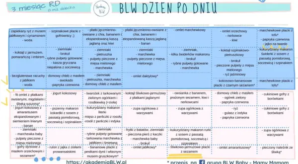 Jadłospis 10 miesięcznego dziecka: zapiekany ryż, placki szpinakowe, pulpety rybne, omlety, zupy warzywne i inne zdrowe propozycje.