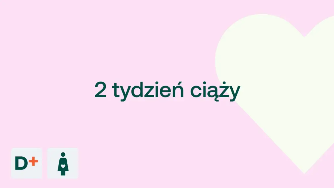 2 tydzień ciąży. Delikatny różowy tle z jasną sercem. Ikony D+ i kobiety w ciąży.