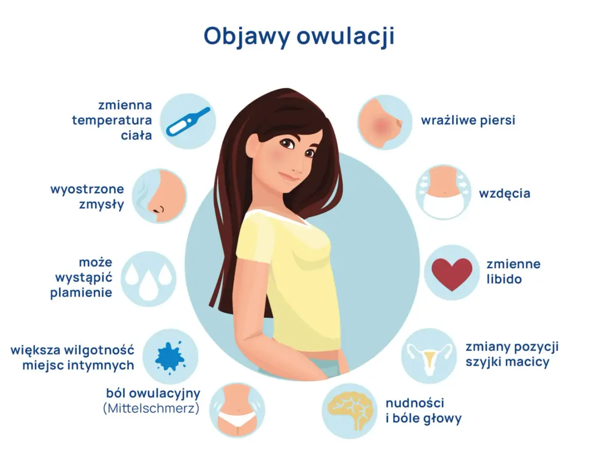 Ilustracja przedstawia kobietę otoczoną ikonami symbolizującymi objawy owulacji: termometr, nos, krople, piersi, serce, macicę, mózg, brzuch.
