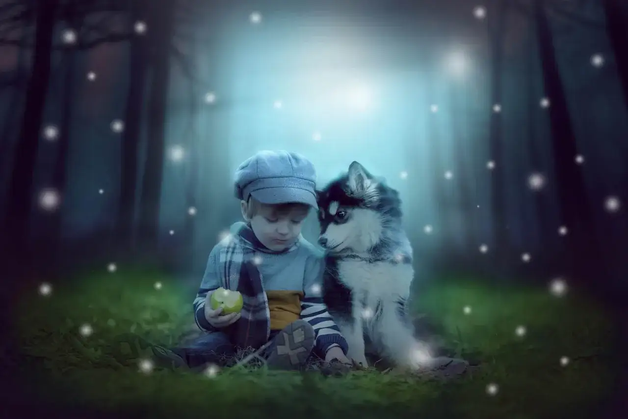 Chłopiec z psem w lesie, jak z najpiękniejszych słuchowisk dla dzieci. Magiczna atmosfera, świetliki.